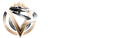 Velox Logo